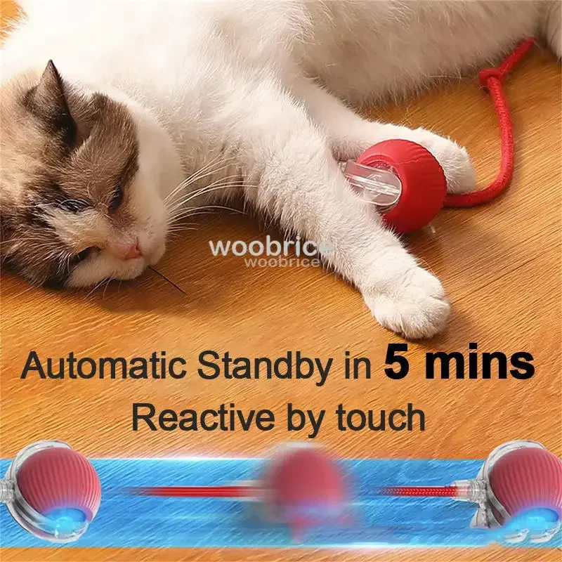 SICAK Akıllı Kedi Oyuncakları  - Pet Supplies First incelemesi ve fiyatı