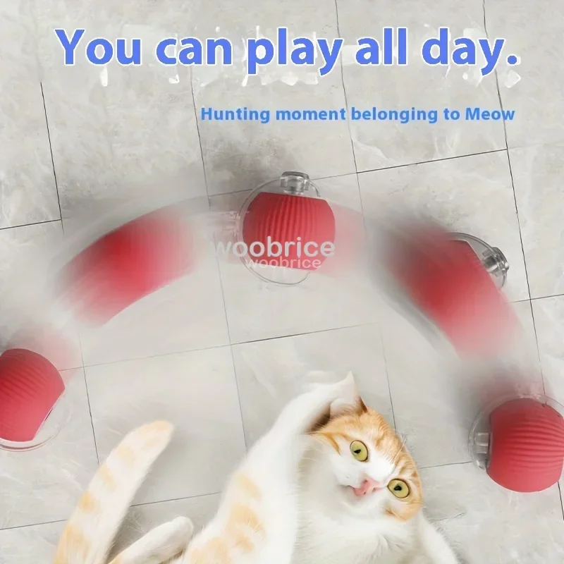 SICAK Akıllı Kedi Oyuncakları  - Pet Supplies First incelemesi ve fiyatı