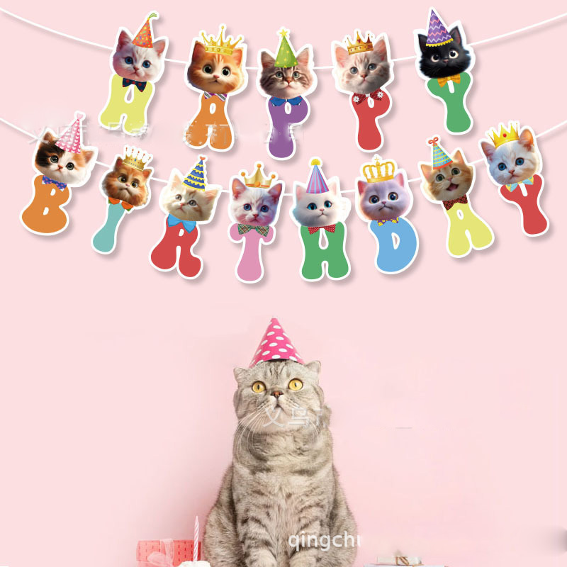 Kedi Yüz Asılı Girdap Süslemel - Pet Supplies First incelemesi ve fiyatı