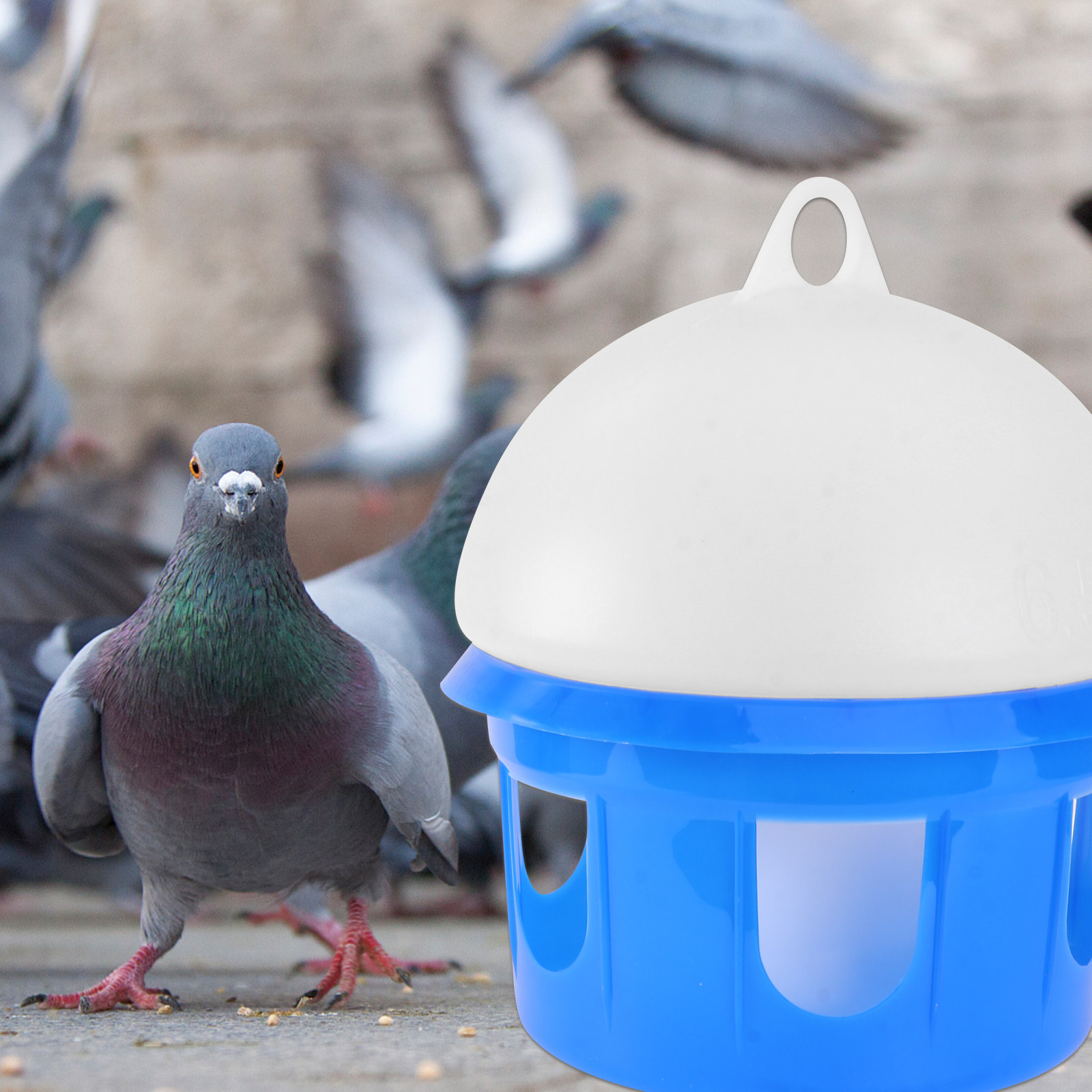 Kuşlar için Su Besleyici 6.5L  - Pet Supplies Zoo incelemesi ve fiyatı