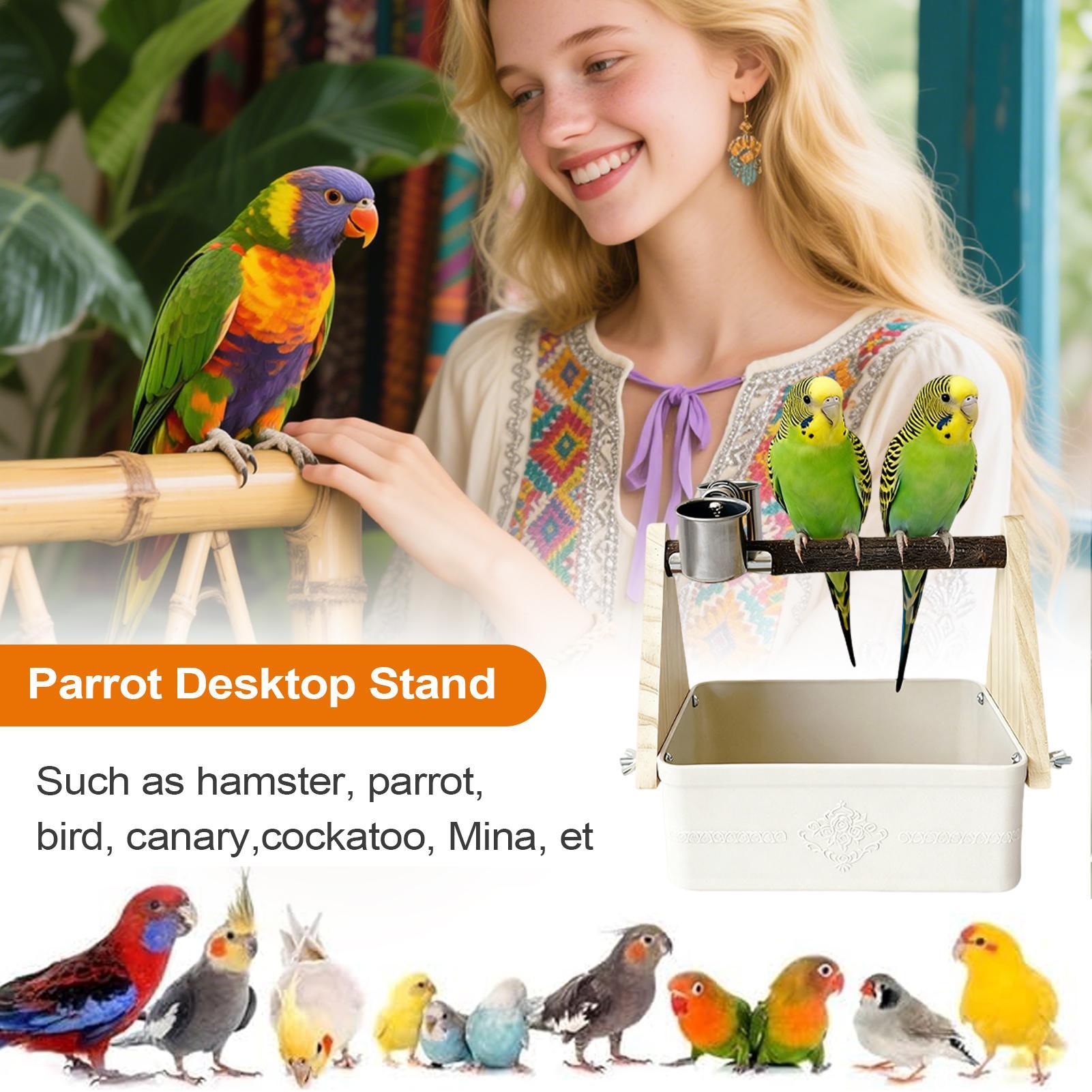 Kuş Masa Üstü Tünek Sevgili Ku - Pet Supplies Zoo incelemesi ve fiyatı