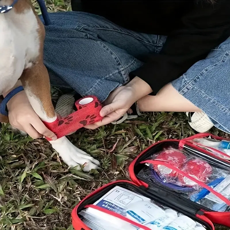 Köpekler ve kediler için kompa - Pet Supplies First incelemesi ve fiyatı