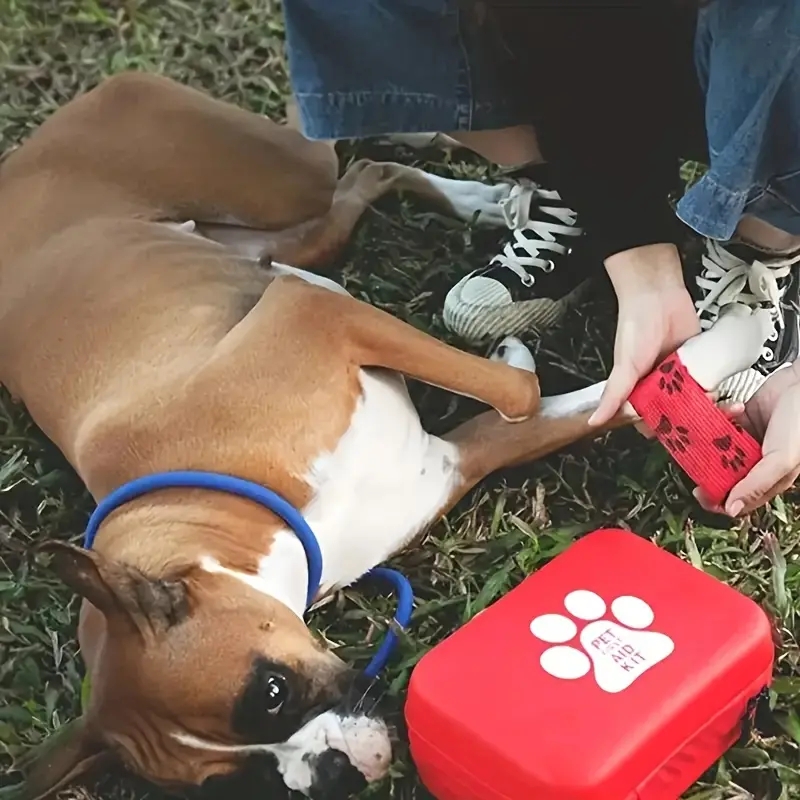 Köpekler ve kediler için kompa - Pet Supplies First incelemesi ve fiyatı