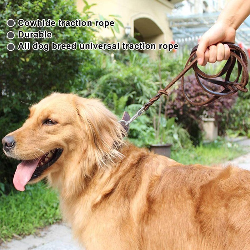 İlk katman sığır derisi tasma  - Pet Supplies First incelemesi ve fiyatı